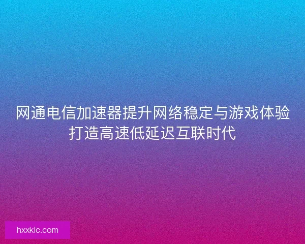 网通电信加速器提升网络稳定与游戏体验打造高速低延迟互联时代